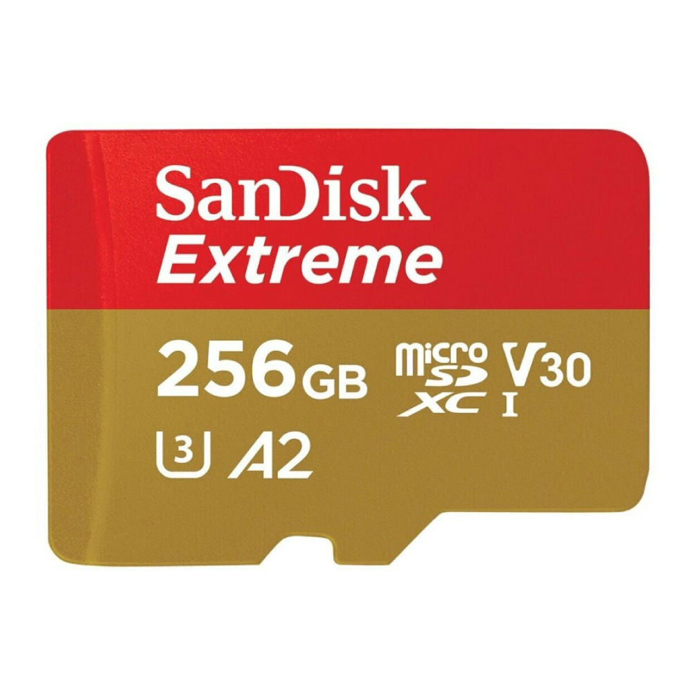 Minneskort microSDXC V30 256GB