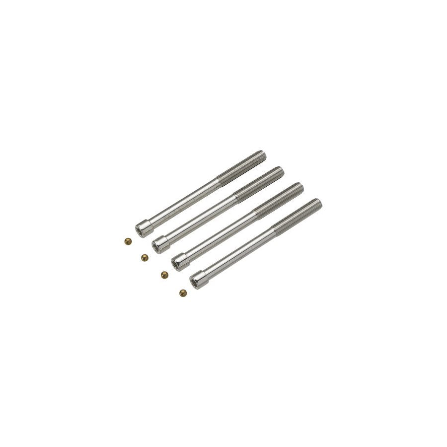Cylinderskruv säkerhet 4 st 80mm m plugg